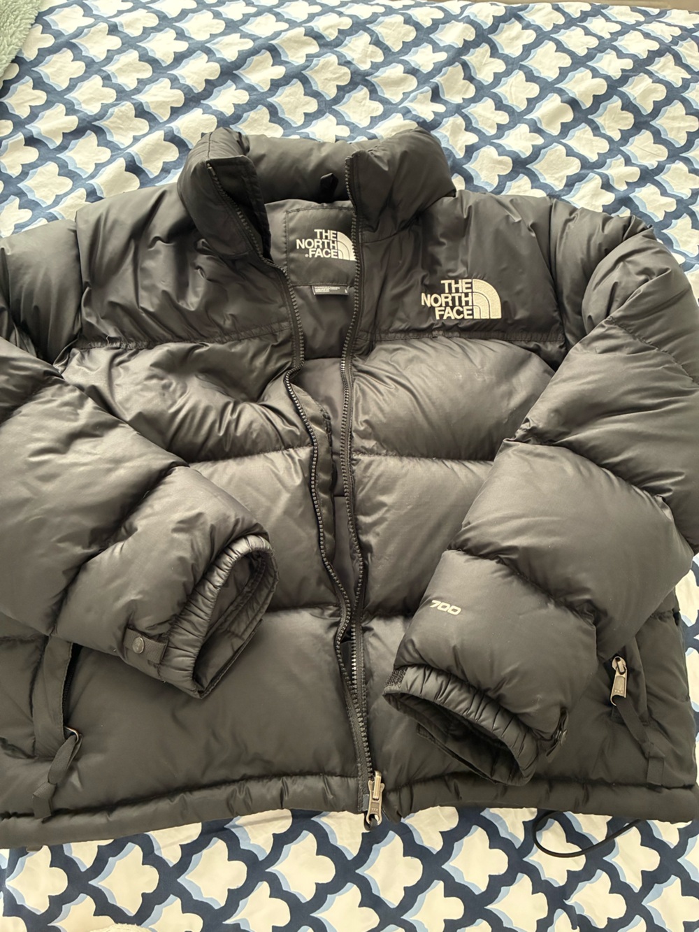 The North Face Black 700 Fill Puffer Jacket